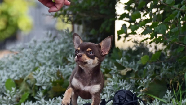 Kleines kann so Großes wirken